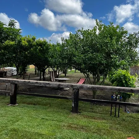 Graziosa Stanza Campidanese Su Terzu Casa rural